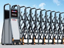 價(jià)格: 800元  紅菜斯A1