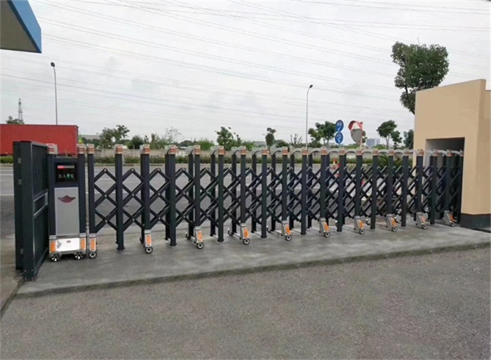  電動(dòng)門案例